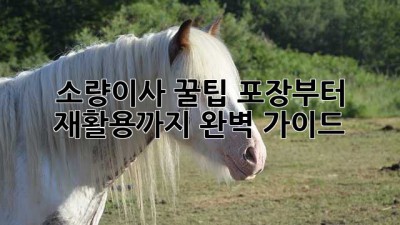 소량이사 꿀팁🍯 포장부터 재활용까지 완벽 가이드!