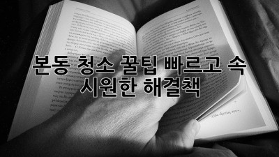본동 청소 꿀팁🍯✨: 빠르고 속 시원한 해결책! 💨