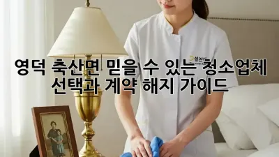 영덕 축산면 믿을 수 있는 청소업체 선택과 계약 해지 가이드
