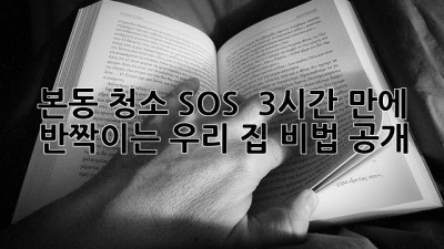 본동 청소 SOS 🚨 3시간 만에 ✨반짝이는 우리 집✨ 비법 공개!